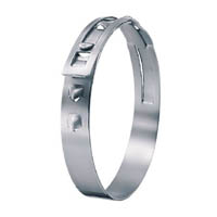 Stufenlose Spannschelle aus Edelstahlband mit robustem Rastverschluss für sichere Anwendungen. Eine glänzendes, silberfarbenes stufenlose Spannschelle aus Edelstahl mit integriertem Verriegelungsmechanismus.